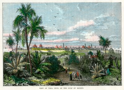 维拉克鲁斯的视图，在墨西哥湾，墨西哥，c1880 作者 不明