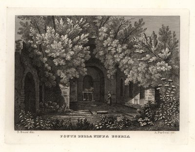 仙女 Egeria，Fonte della Ninfa Egeria，Parco Cafarella，罗马的春天的景色 作者 不明