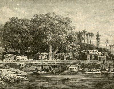 尼罗河三角洲景观，1890年。 作者 不明