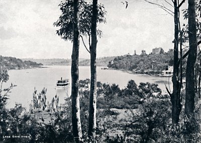 在莱恩科夫河上的景色，c1900年。 作者 不明