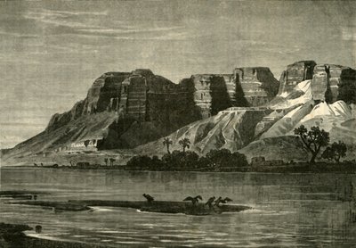 尼罗河景观，1890年。 作者 不明