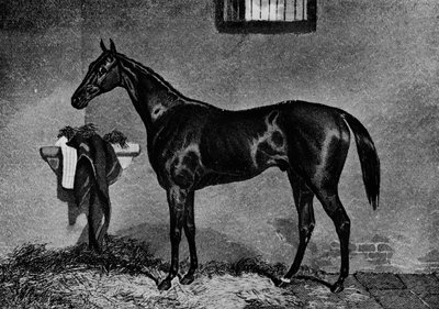 Voltigeur，1847-1874年，1911年 作者 不明