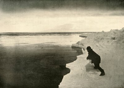 1909年，在冰边观看海豹的袭击，1909年。 作者 不明