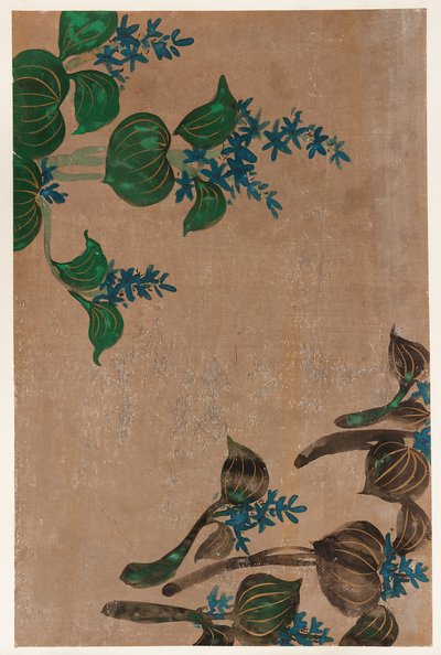 蓝色花朵的水草，江户时期，1615-1868。 作者 不明