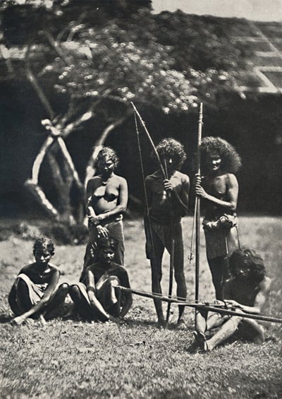 韦达（Wedda），1926年 作者 不明