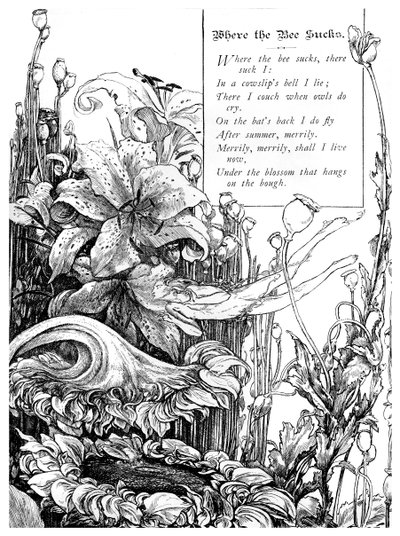 蜜蜂很烂的地方，1895年 作者 不明
