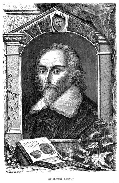 威廉·哈维1578-1657英国医师，17世纪 作者 不明