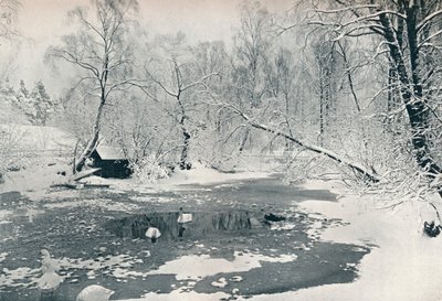 1900年在Skansen的露天博物馆的冬景 作者 不明