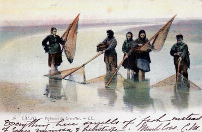 女性虾渔民，加来，1905年 作者 不明