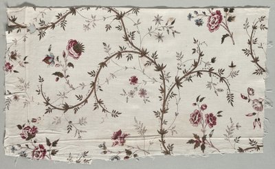 木版印刷的棉花碎片，1785年。 作者 不明
