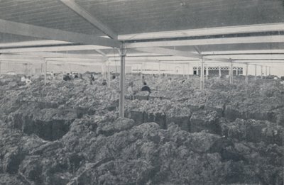 1923年在墨尔本陈列室出售羊毛。 作者 不明