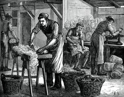 羊毛分选机，c1880 作者 不明