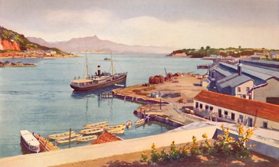 劳埃德·布拉西罗罗轮船公司的车间，1914年 作者 不明