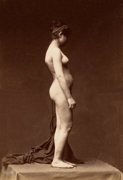 [年轻女子，裸体，轮廓完整]，1860年代。 作者 不明