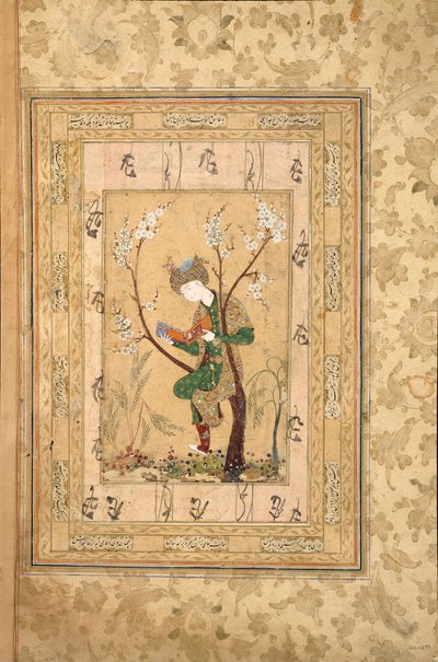 少年坐在一棵开花的树的叉子上，1560年代 作者 不明