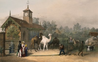 动物园，摄政公园，Marylebone，伦敦，1835年 作者 不明