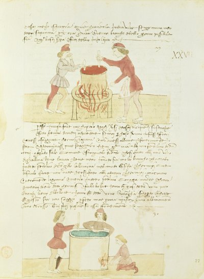 来自Precetti dellArte della Seta的染色丝绸（丝绸协会规则） 作者 未知未知