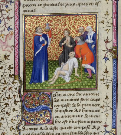 Ms.251 f.54v医生和他的病人，来自Des Proprietez des Choses，c.1415 作者 未知未知