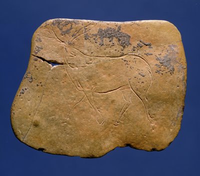 驯鹿，在石灰岩上雕刻，旧石器时代，Magdalenian V，来自Laugerie Basse，Dordogne，公元前2000年 作者 未知未知