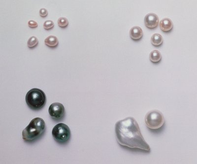 选择不同形状的养殖珍珠（见122674） 作者 未知未知