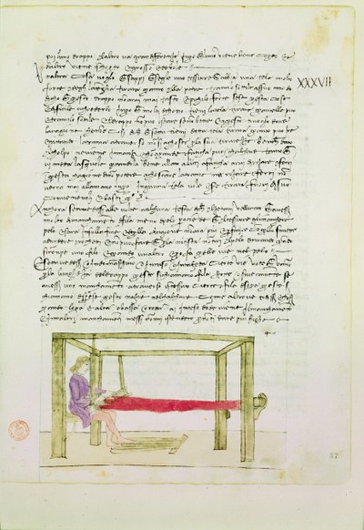 编织丝绸来自Precetti dellArte Della Seta（丝绸公会规则） 作者 未知未知