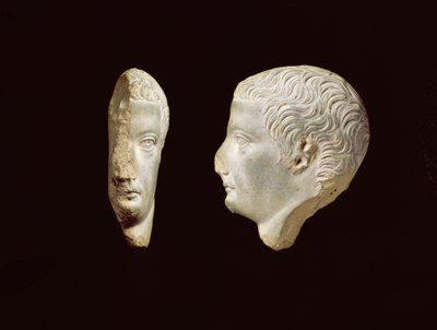 A Relief Boss Profile Portrait of the Emperor Tiberius (14-37) 1st century (frit) 作者 不明