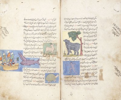 波斯手稿“ Aja” ib al-Makhluqat wa Ghara的页面“ ib al-Maujudat 作者 不明
