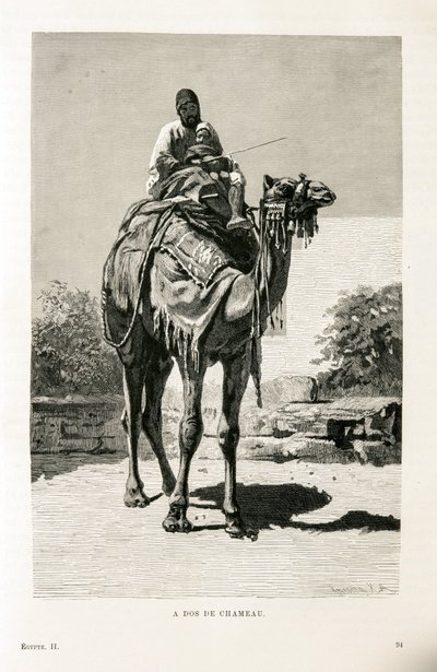 An Egyptian and his child on a camel - Illustration from the Atlas of Egypt 作者 不明