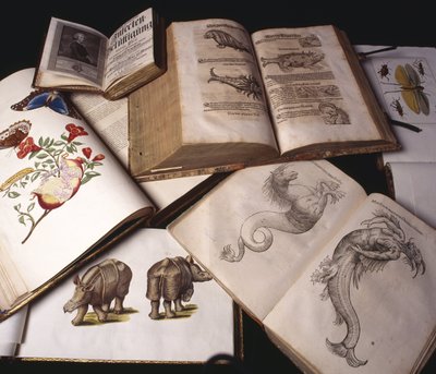 Ancient Zoology Books 作者 不明