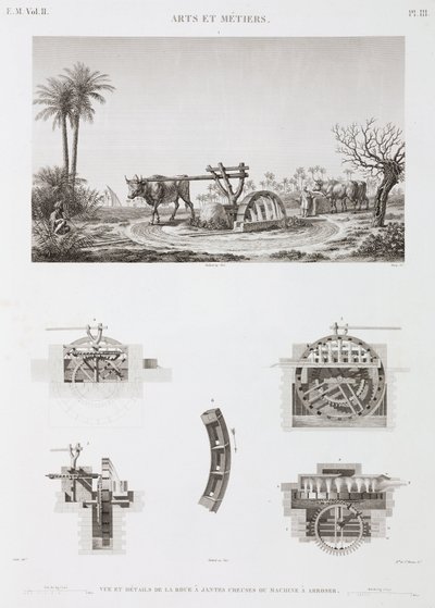 动物动力 动物动力灌溉，埃及，约 1798 年 作者 不明
