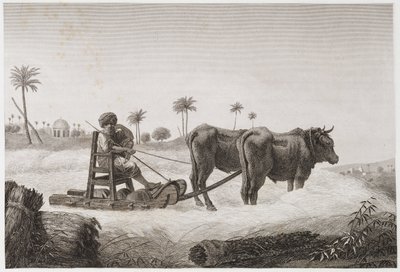 耕作，收割 打谷机，埃及，约1798年 作者 不明