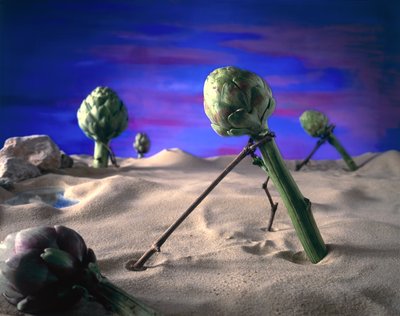 艺术蓟（达利）1996（照片） 作者 未知艺术家