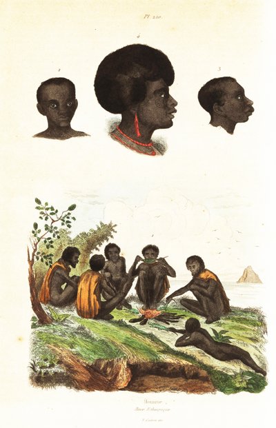澳大利亚原住民和西巴布亚韦吉奥原住民的头像 1834-1839 年（雕刻） 作者 未知艺术家