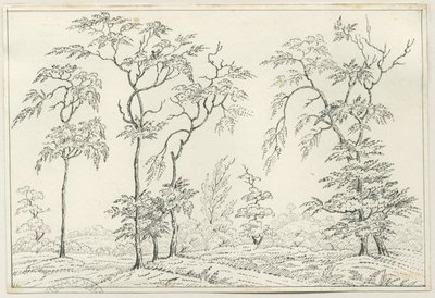 Cannock Chase：钢笔和铅笔素描，nd [？19th cent] 作者 不明