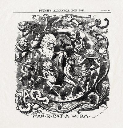 查尔斯-达尔文（1809-1882 年）关于进化论的漫画："人类不过是一条蠕虫》（Man is but a worm），选自 "Punch" 06/12/1881 作者 未知艺术家