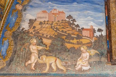 意大利艾米利亚-罗马涅大区帕尔马市托雷奇亚拉城堡（Castello di Torrechiara），金相机（Camera d