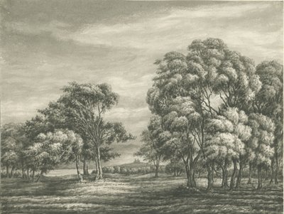 城堡教堂-斯塔福德城堡：棕褐色绘画，nd [？19th cent] 作者 不明
