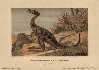 Compsognathus longipes，侏罗纪肉食性小型双足恐龙属。F. 约翰的彩色石版画（Reichardt 可口可乐公司的史前动物系列），最初发表于 "史前世界的动物"。 作者 未知艺术家