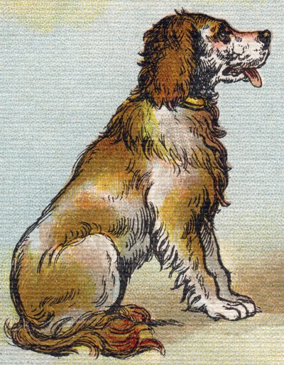 狗。 雕刻“Alphabet de ma petite fille”。 Bernardin-Bechet 和 Fils，书商出版商，巴黎，约 1895 年。坚不可摧的画布专辑。 贝贝斯图书馆。 12 页。 包含阅读方法和说明性初学者的专辑。 昏暗：29,5 作者 不明