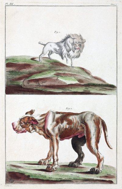 Dogs 作者 不明