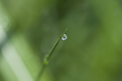 水滴（照片） 作者 未知艺术家