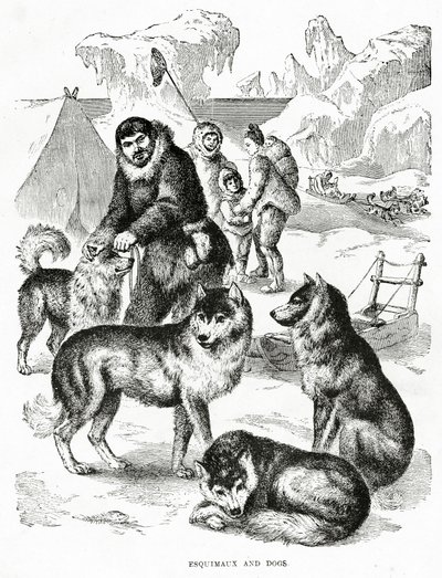 爱斯基摩人和狗。1902年（石印 作者 不明
