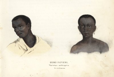埃塞俄比亚男女。Georg Friedrich Treitschke 的自然历史画廊，Naturhistorischer Bildersaal des Thierreiches，Liepzig-1842。 作者 未知艺术家
