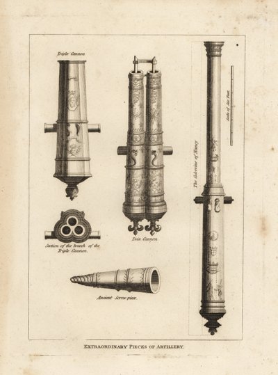 Extraordinary pieces of artillery: view and section of the culverine of Nancy, a triple cannon, a twin cannon and an ancient screwpiece 作者 不明