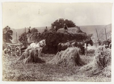 耕作场景，收割和储存，1900年前的收割，约1890年 作者 不明