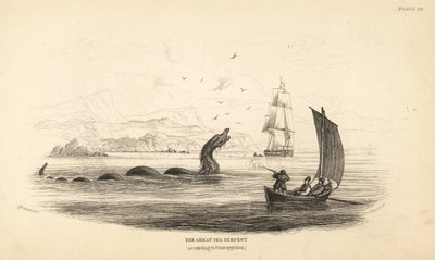1746 年劳伦斯号船员在渡船上射杀的大海蛇。埃里克-蓬托皮丹主教的《挪威自然史》中有描述 作者 未知艺术家