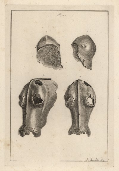 Helmet 1,2, and iron chanfron or chafron 3,4 that belonged to Guy, Earl of Warwick 作者 不明