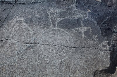 印第安人岩画--动物和象征性代表--岩画国家纪念馆--美国新墨西哥州阿尔布开克市（美国）。 作者 未知艺术家