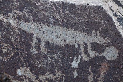 表现动物的印第安人岩画--岩画国家纪念馆--美国新墨西哥州阿尔伯克基市（美国）。 作者 未知艺术家