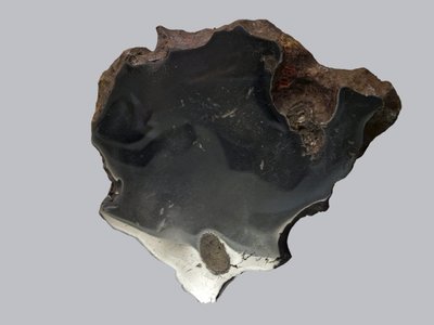 铁陨石（IAB）。 1891 年发现峡谷暗黑破坏神（美国）。巴黎国家自然历史博物馆。 作者 不明